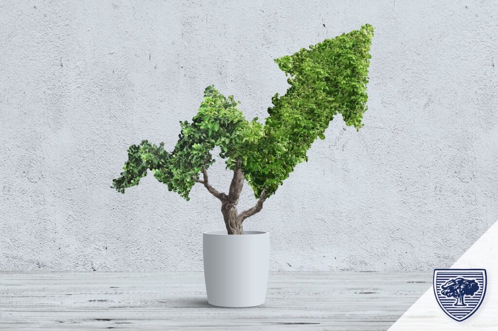 Discover effective IRA contribution strategies for June, highlighting how mid-year planning can enhance long-term growth and offer tax advantages.